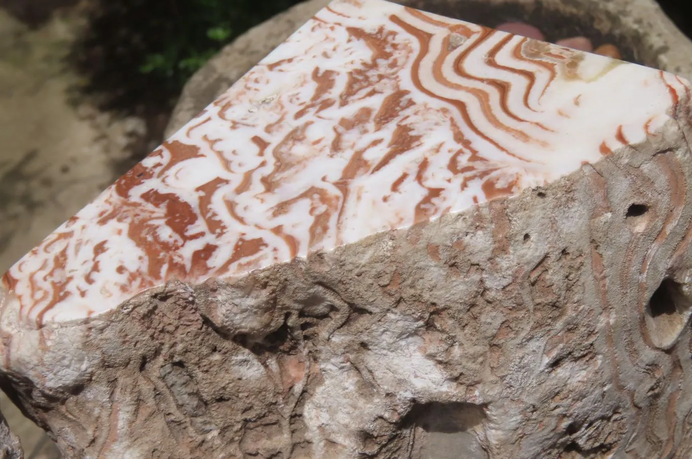 Polished Chocolate Swirl Aragonite Bookends x 2 From Namibia