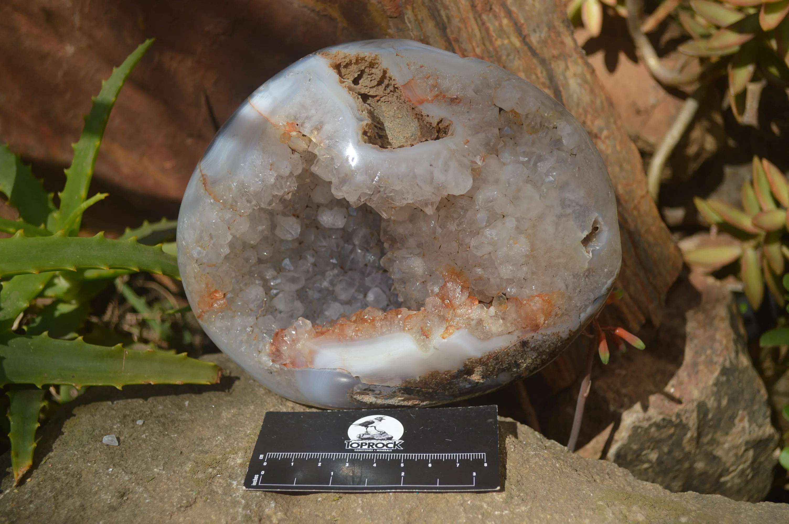 Polished Crystal Centred Banded Agate Geode  x 1 From Madagascar