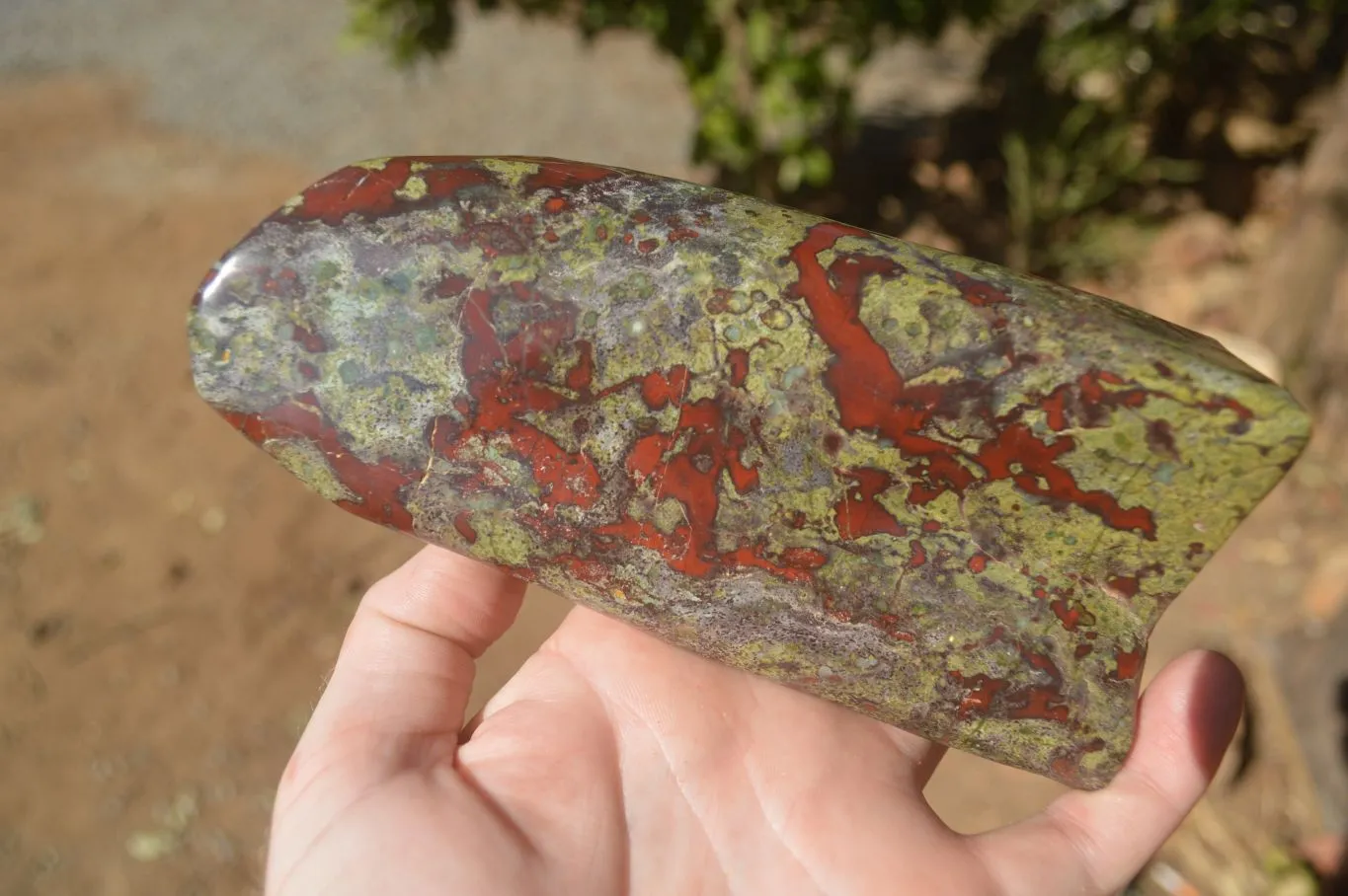 Polished  Dragon Bloodstone Standing Free Form  x 1 From Southern Africa