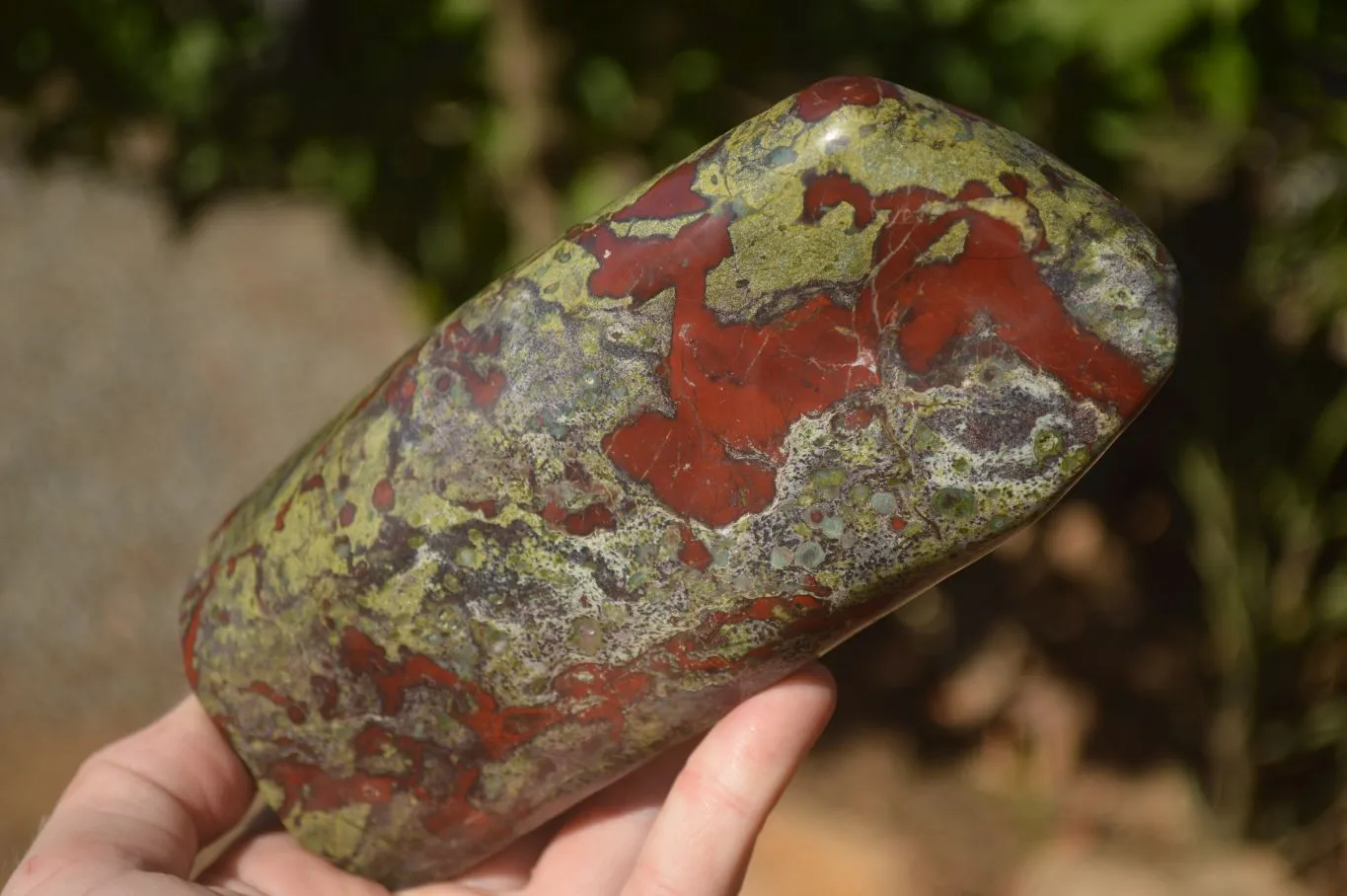 Polished  Dragon Bloodstone Standing Free Form  x 1 From Southern Africa