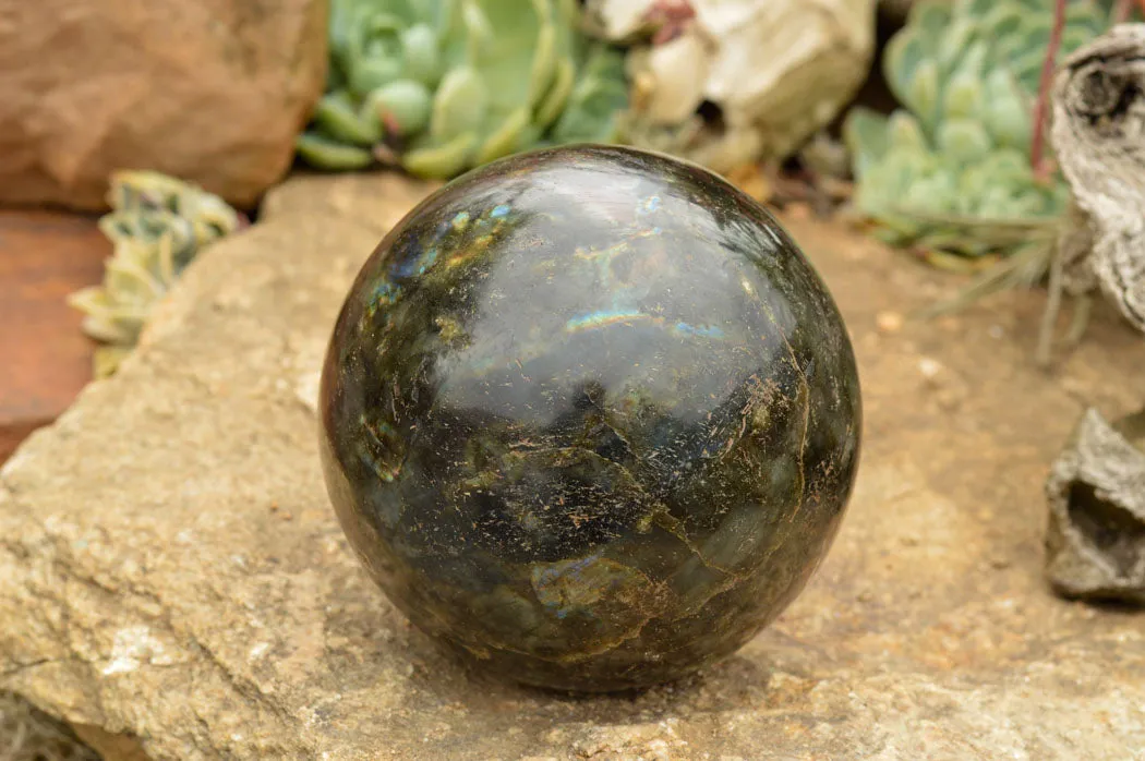 Polished Extra Large Labradorite Sphere & Palisandre Rose Wood Stand  x 1 From Tulear, Madagascar