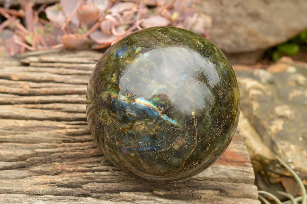 Polished Extra Large Labradorite Sphere & Palisandre Rose Wood Stand  x 1 From Tulear, Madagascar