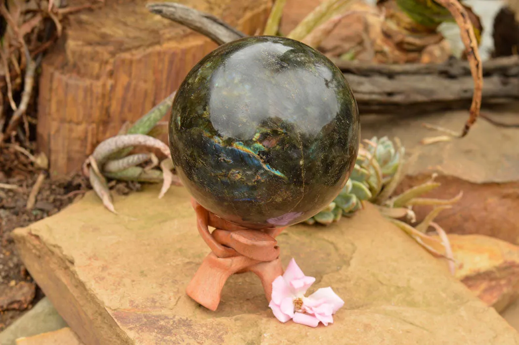 Polished Extra Large Labradorite Sphere & Palisandre Rose Wood Stand  x 1 From Tulear, Madagascar