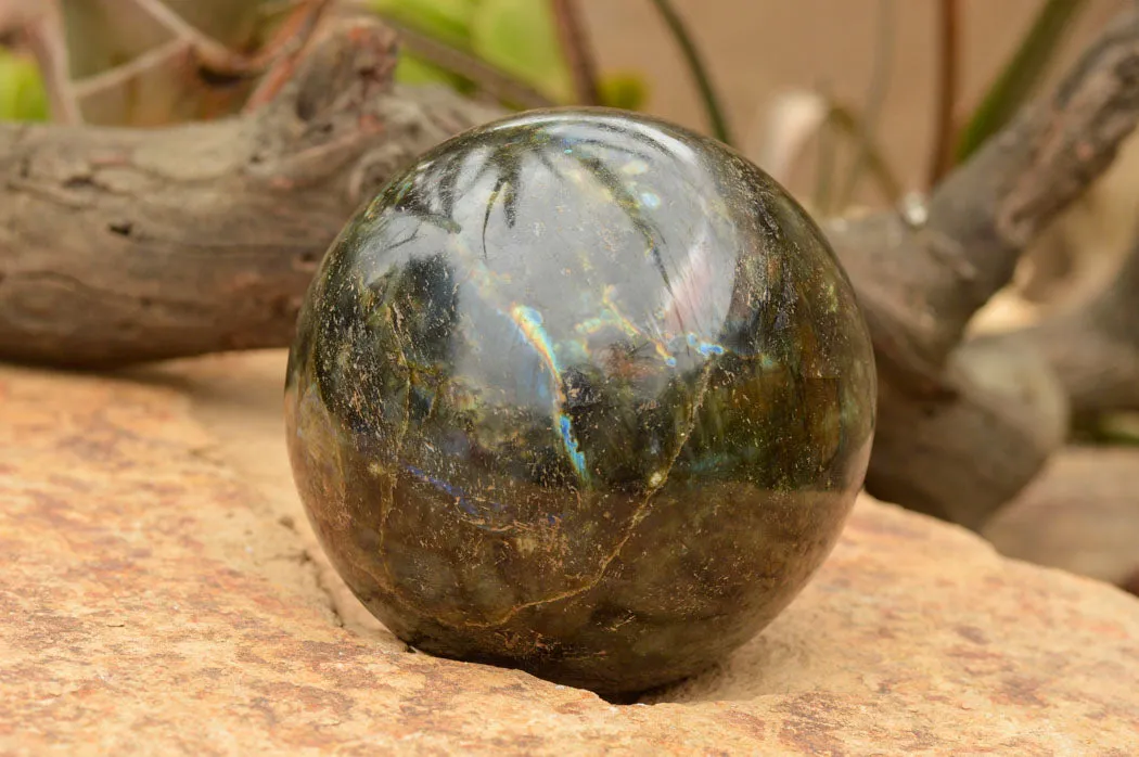 Polished Extra Large Labradorite Sphere & Palisandre Rose Wood Stand  x 1 From Tulear, Madagascar