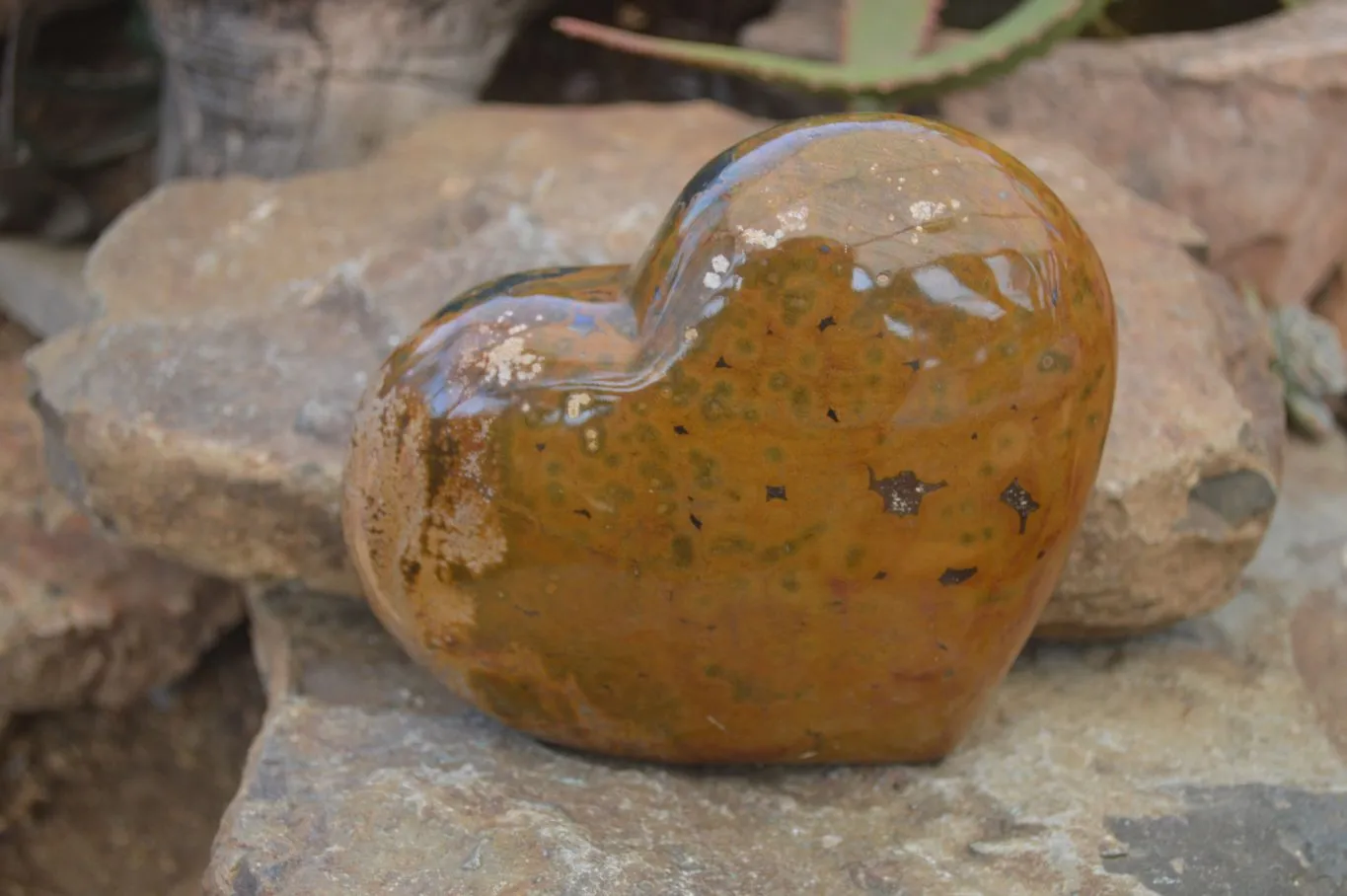 Polished Extra Large Ocean Jasper Heart  x 1 From Madagascar