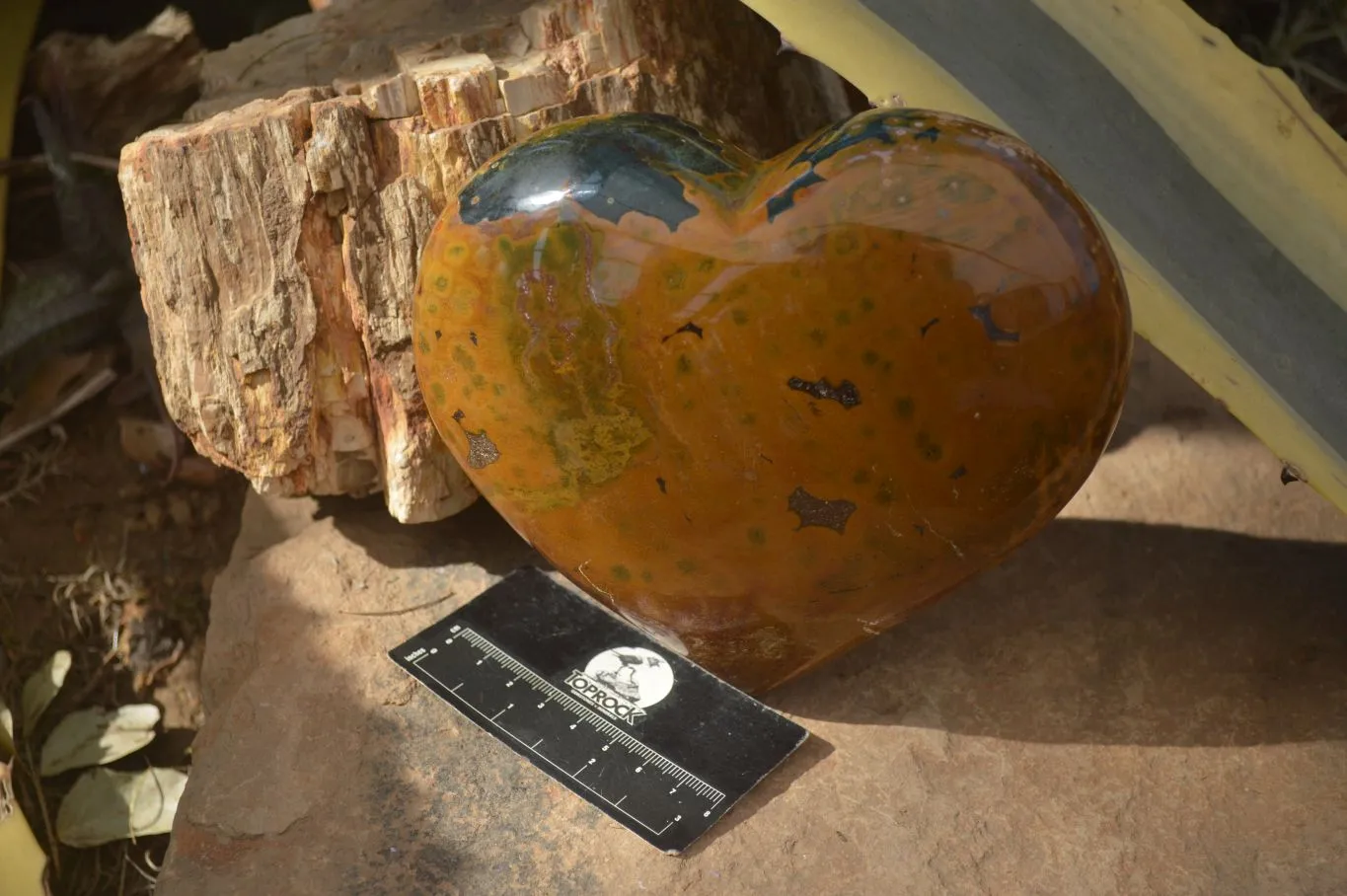 Polished Extra Large Ocean Jasper Heart  x 1 From Madagascar