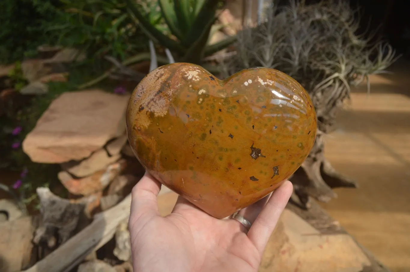 Polished Extra Large Ocean Jasper Heart  x 1 From Madagascar