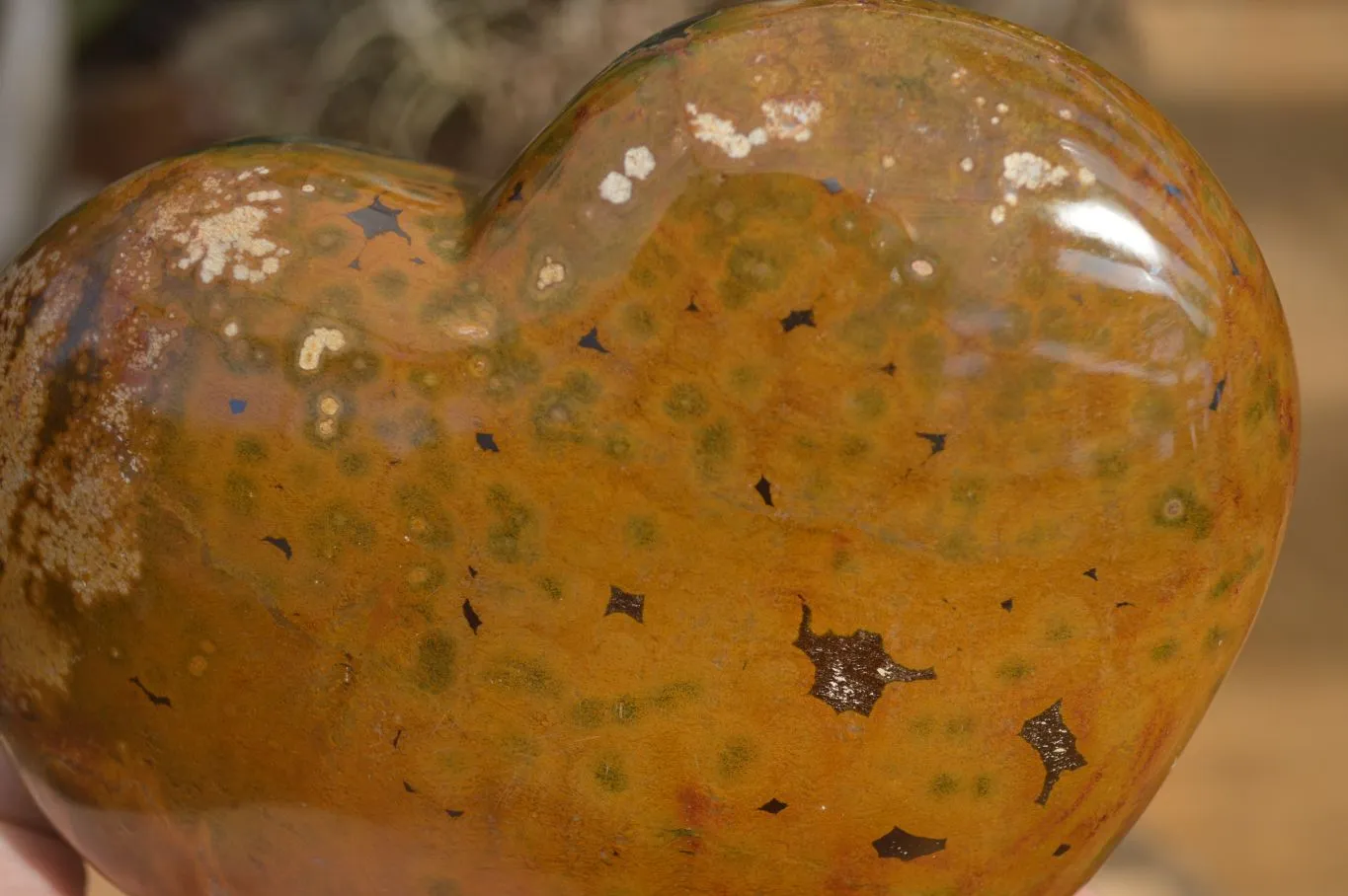 Polished Extra Large Ocean Jasper Heart  x 1 From Madagascar