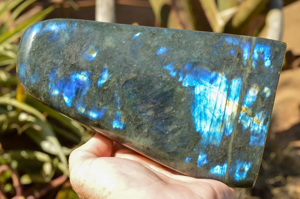 Polished Labradorite Standing Free Form With Deep Blue Flash x 1 From Sakoany, Madagascar