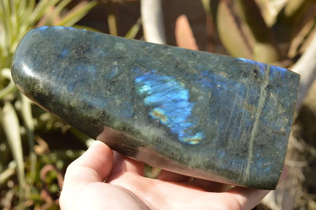 Polished Labradorite Standing Free Form With Deep Blue Flash x 1 From Sakoany, Madagascar