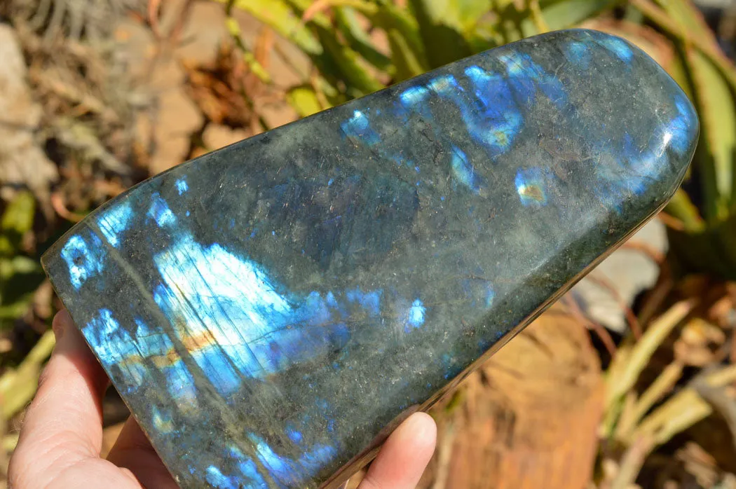 Polished Labradorite Standing Free Form With Deep Blue Flash x 1 From Sakoany, Madagascar