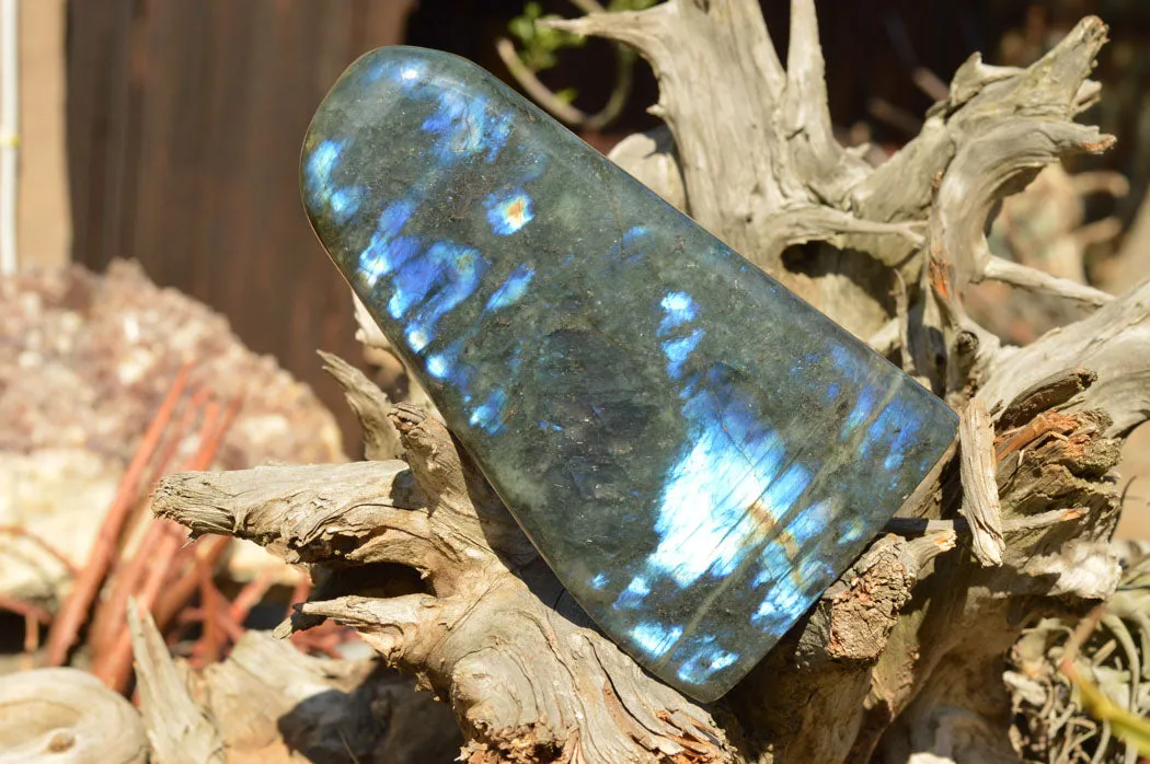 Polished Labradorite Standing Free Form With Deep Blue Flash x 1 From Sakoany, Madagascar