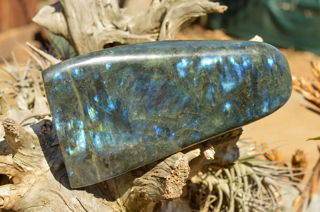 Polished Labradorite Standing Free Form With Deep Blue Flash x 1 From Sakoany, Madagascar