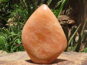 Polished Large Orange Twist Calcite Standing Free Form x 1 From Maevantanana, Madagascar