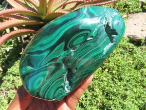 Polished Malachite Free Form x 1 From Congo