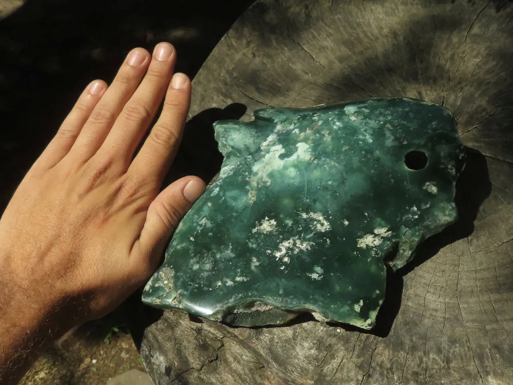 Polished On One Side Emerald Mtorolite Plates x 1 From Mutorashanga, Zimbabwe