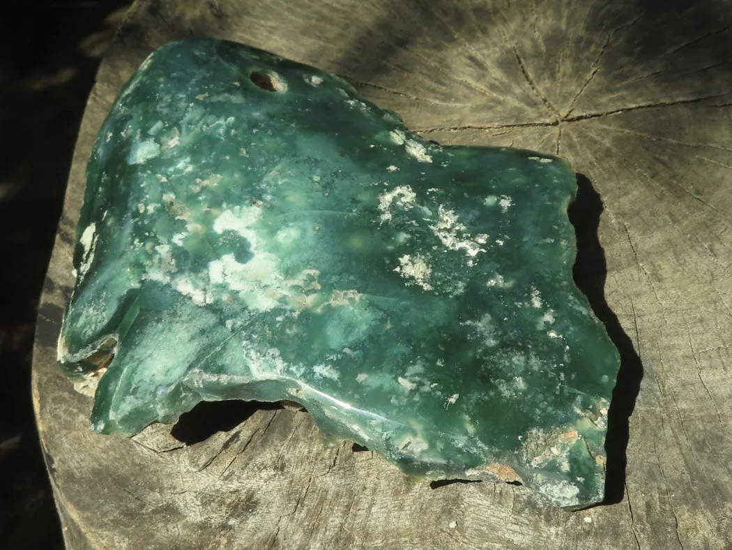 Polished On One Side Emerald Mtorolite Plates x 1 From Mutorashanga, Zimbabwe