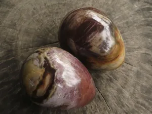 Polished Petrified Red Podocarpus Wood Eggs x 2 From Mahajanga, Madagascar