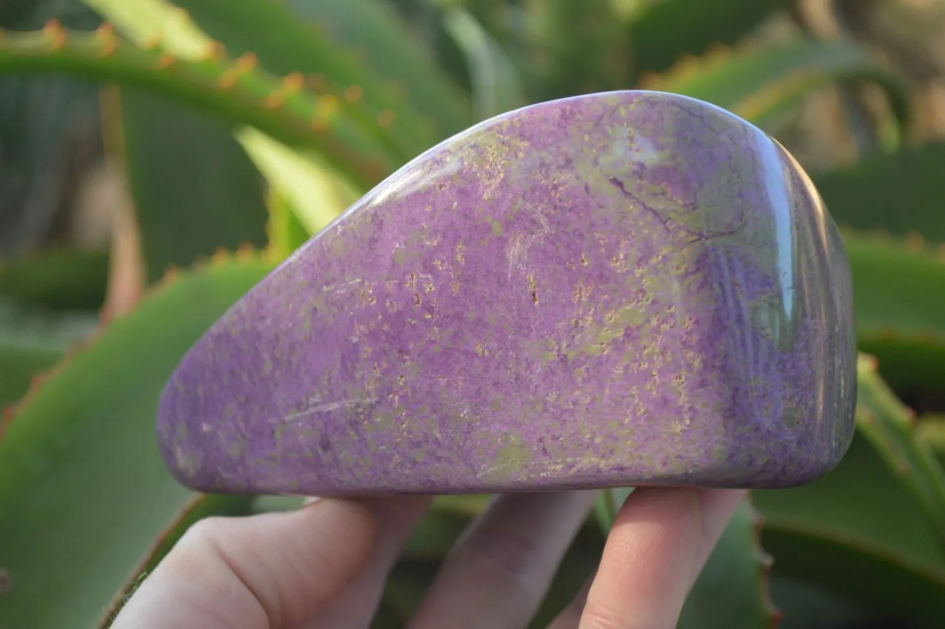 Polished Purple Stichtite & Serpentine Standing Free Form x 1 From Barberton, South Africa