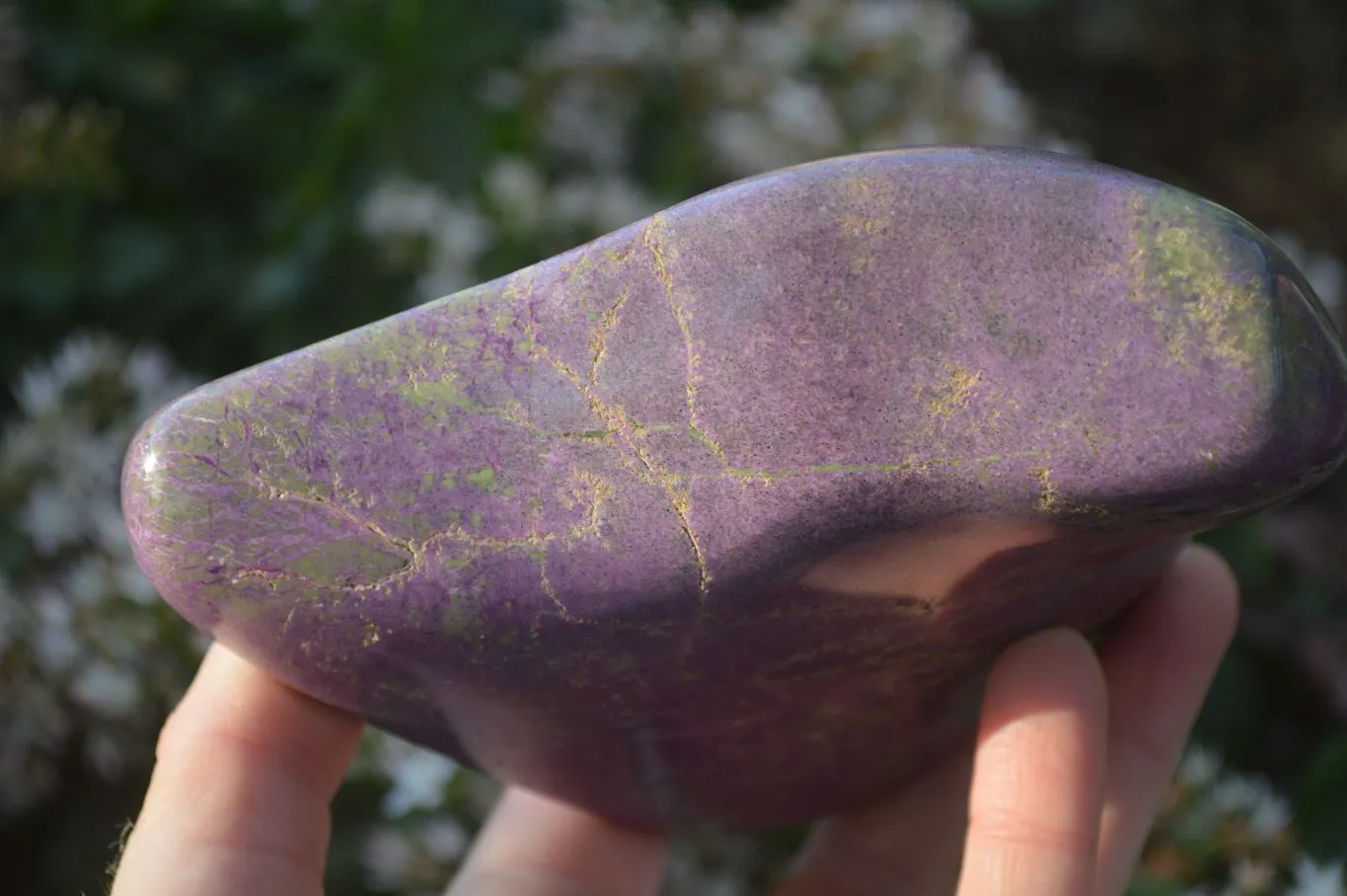 Polished Purple Stichtite & Serpentine Standing Free Form x 1 From Barberton, South Africa