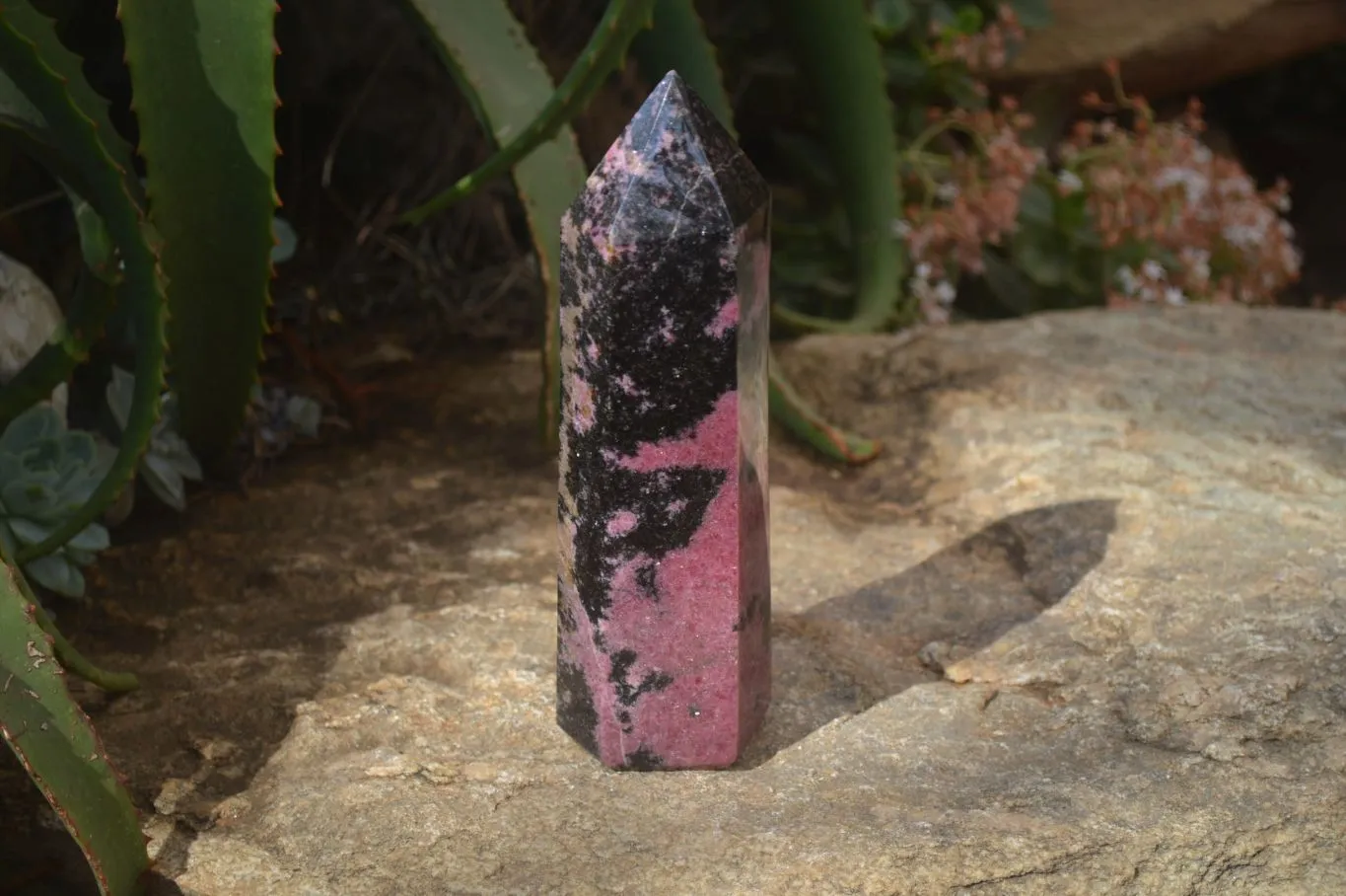 Polished Rhodonite Point x 1 From Madagascar