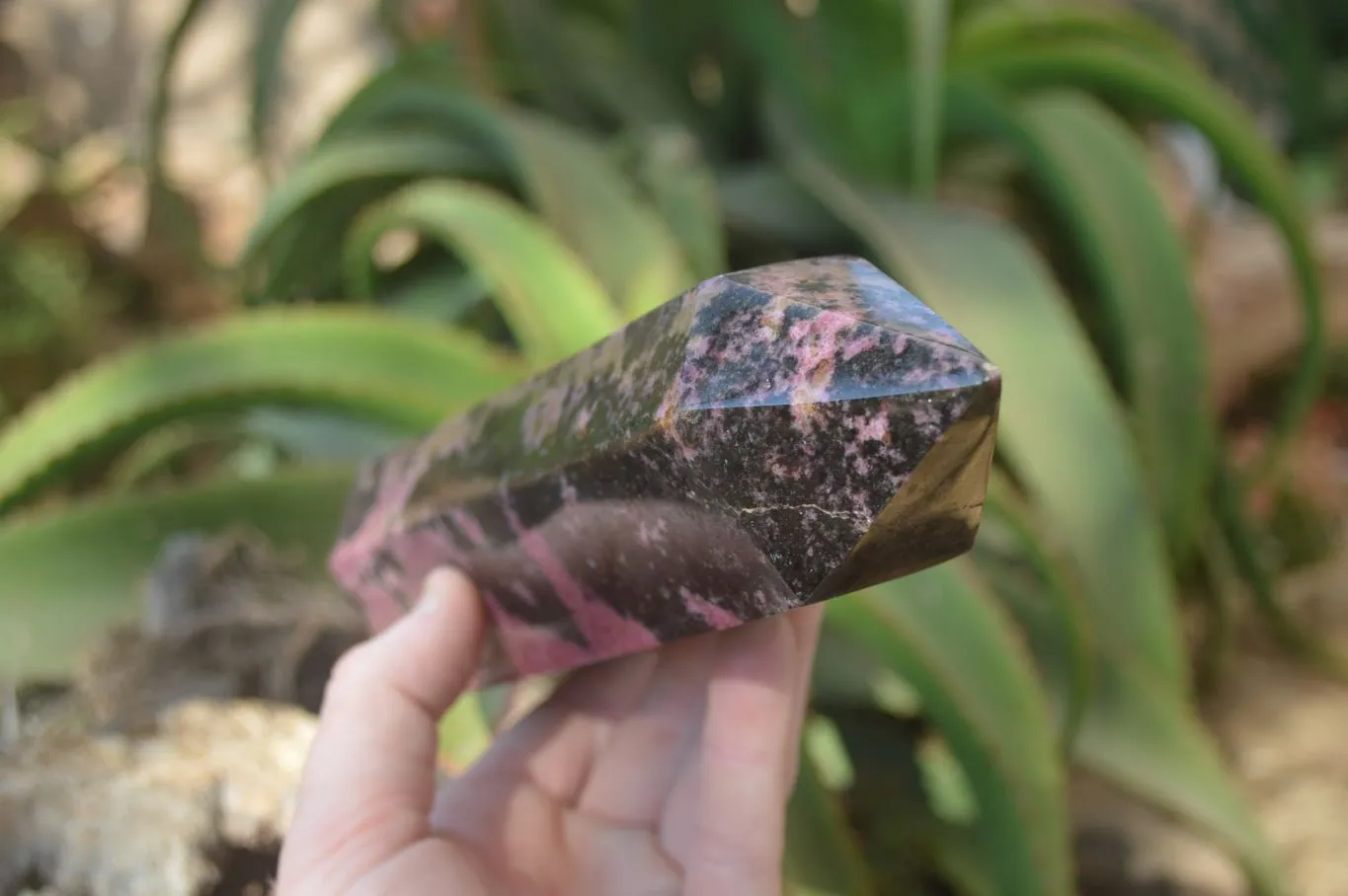 Polished Rhodonite Point x 1 From Madagascar