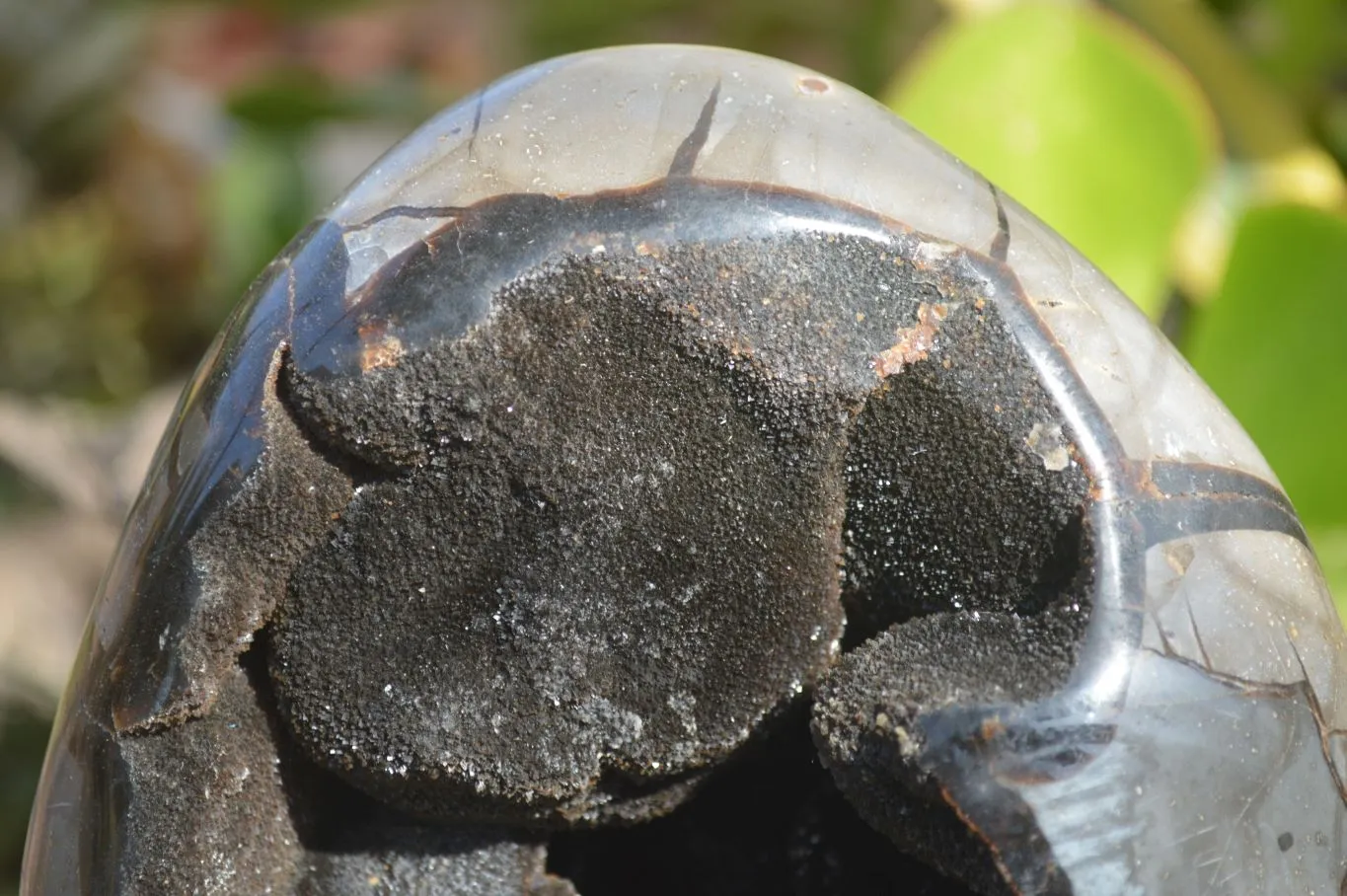 Polished Septerye Sauvage Dragon Egg x 1 From Mahajanga, Madagascar