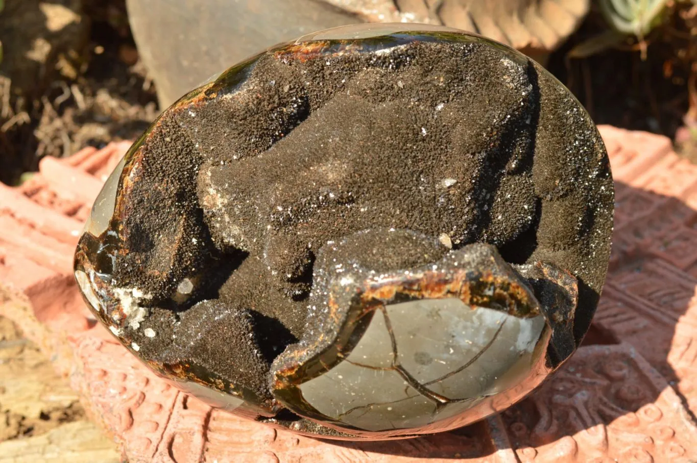 Polished Septerye Sauvage Dragons Egg x 1 From Mahajanga, Madagascar