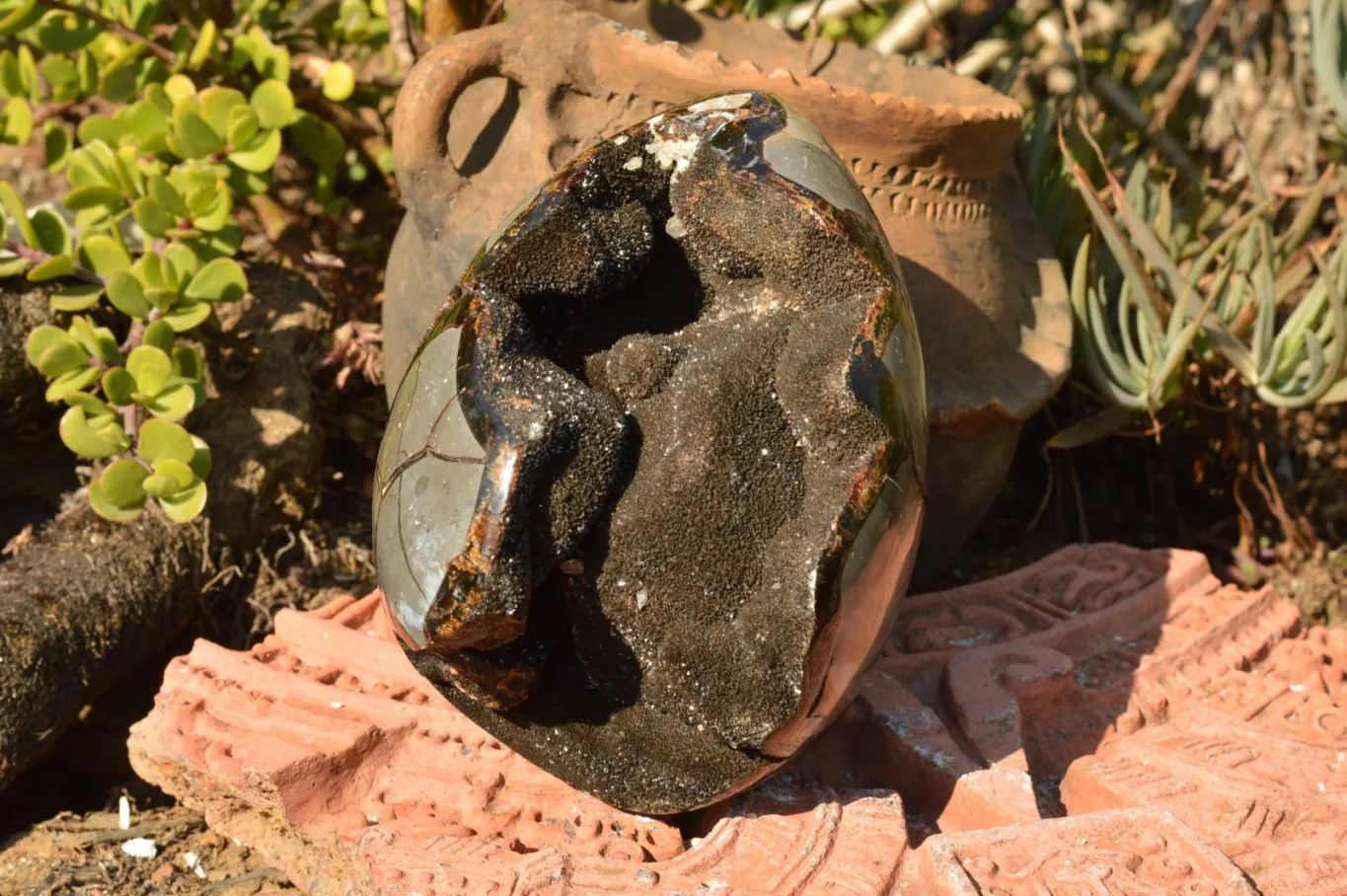 Polished Septerye Sauvage Dragons Egg x 1 From Mahajanga, Madagascar