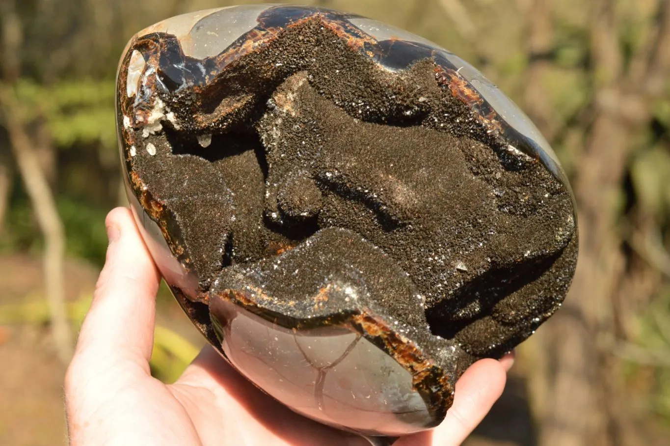 Polished Septerye Sauvage Dragons Egg x 1 From Mahajanga, Madagascar