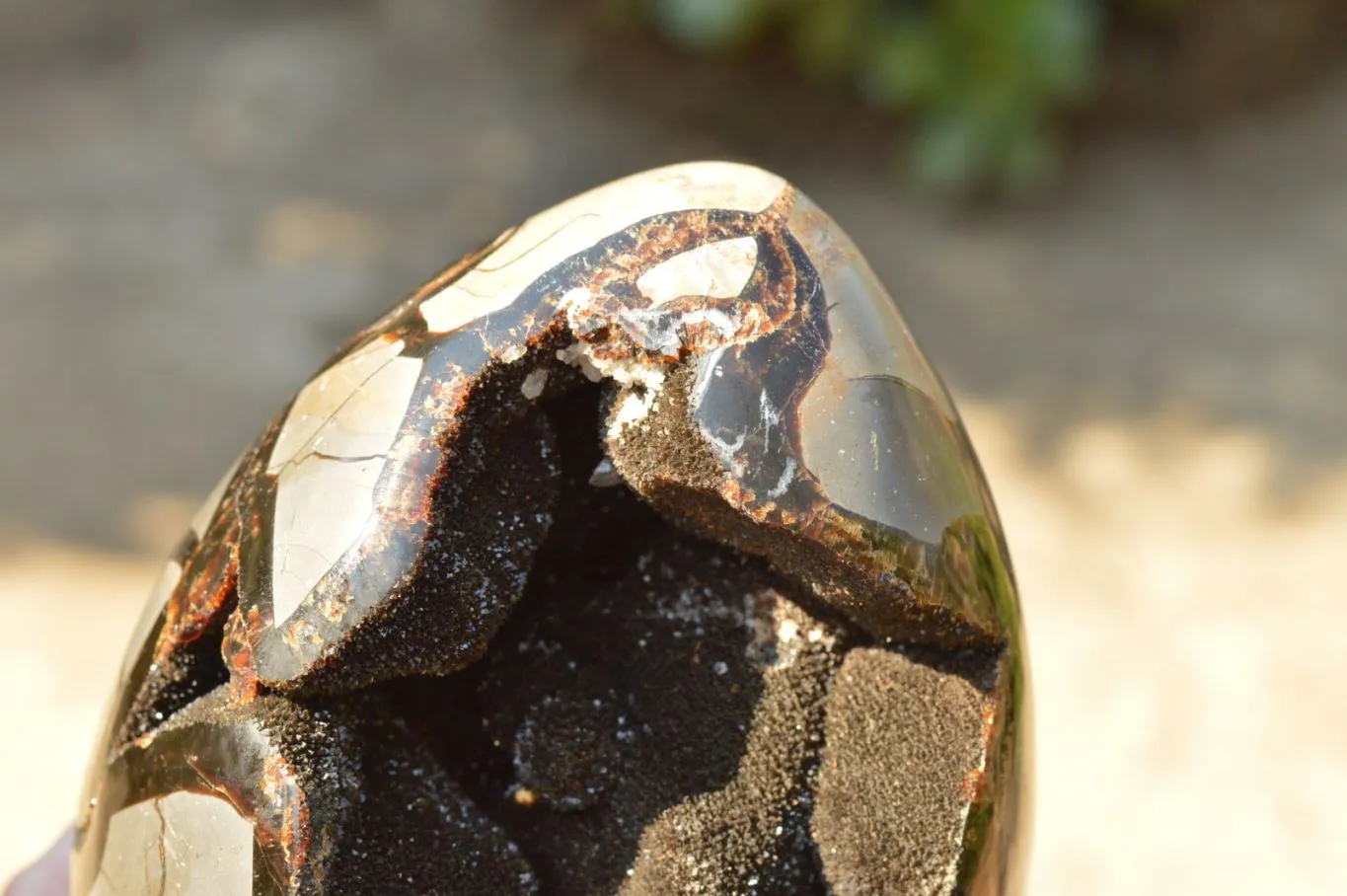 Polished Septerye Sauvage Dragons Egg x 1 From Mahajanga, Madagascar