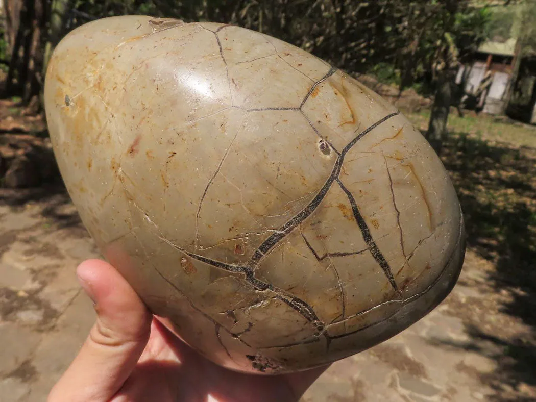 Polished Septerye Sauvage "Dragons Egg" Standing Free Form x 1 From Mahajanga, Madagascar