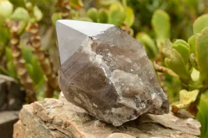 Polished  Smokey Quartz Crystal With Polished Termination x 1 From Malawi