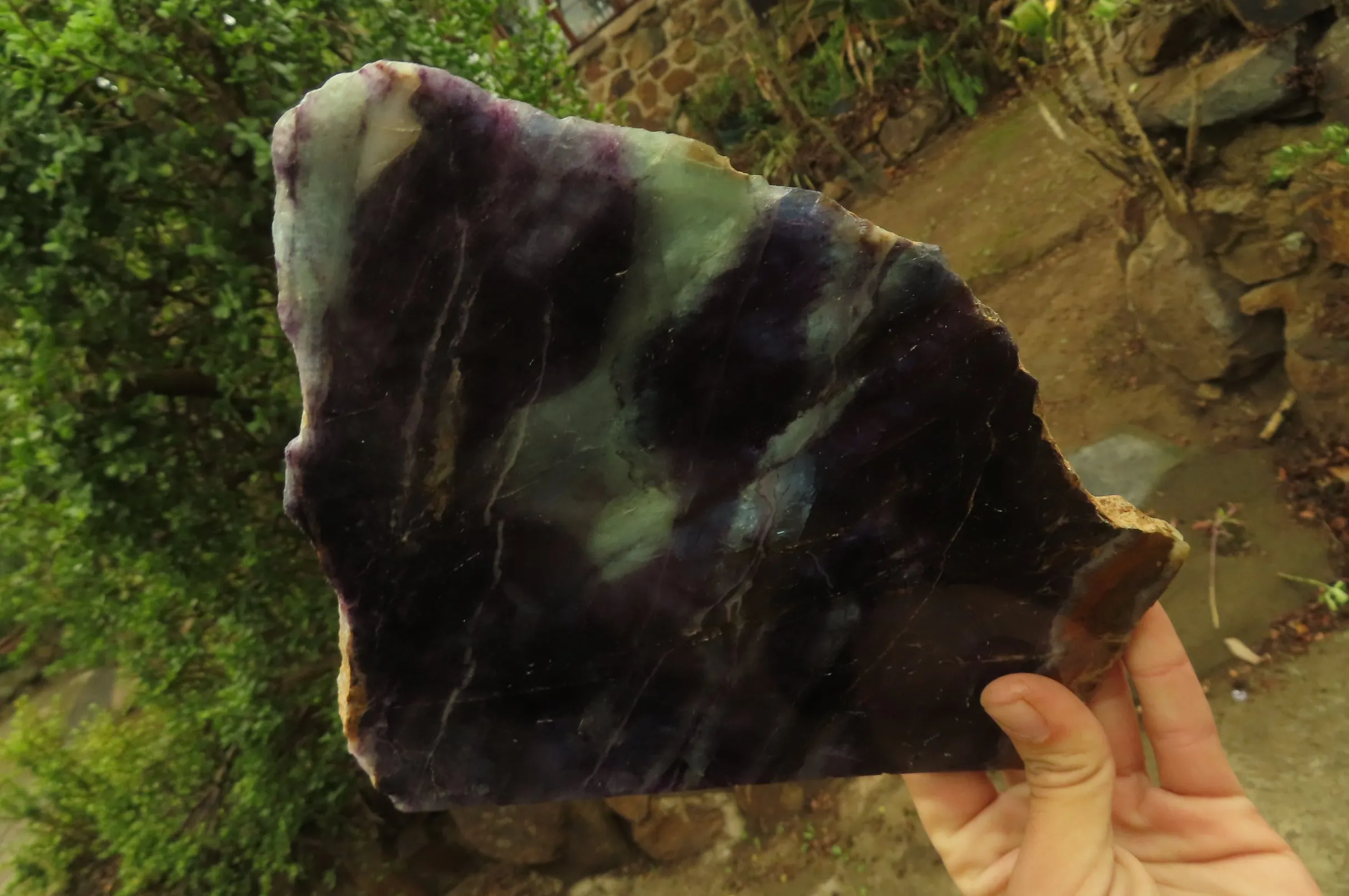 Polished Watermelon Fluorite Slices x 1 From Uis, Namibia