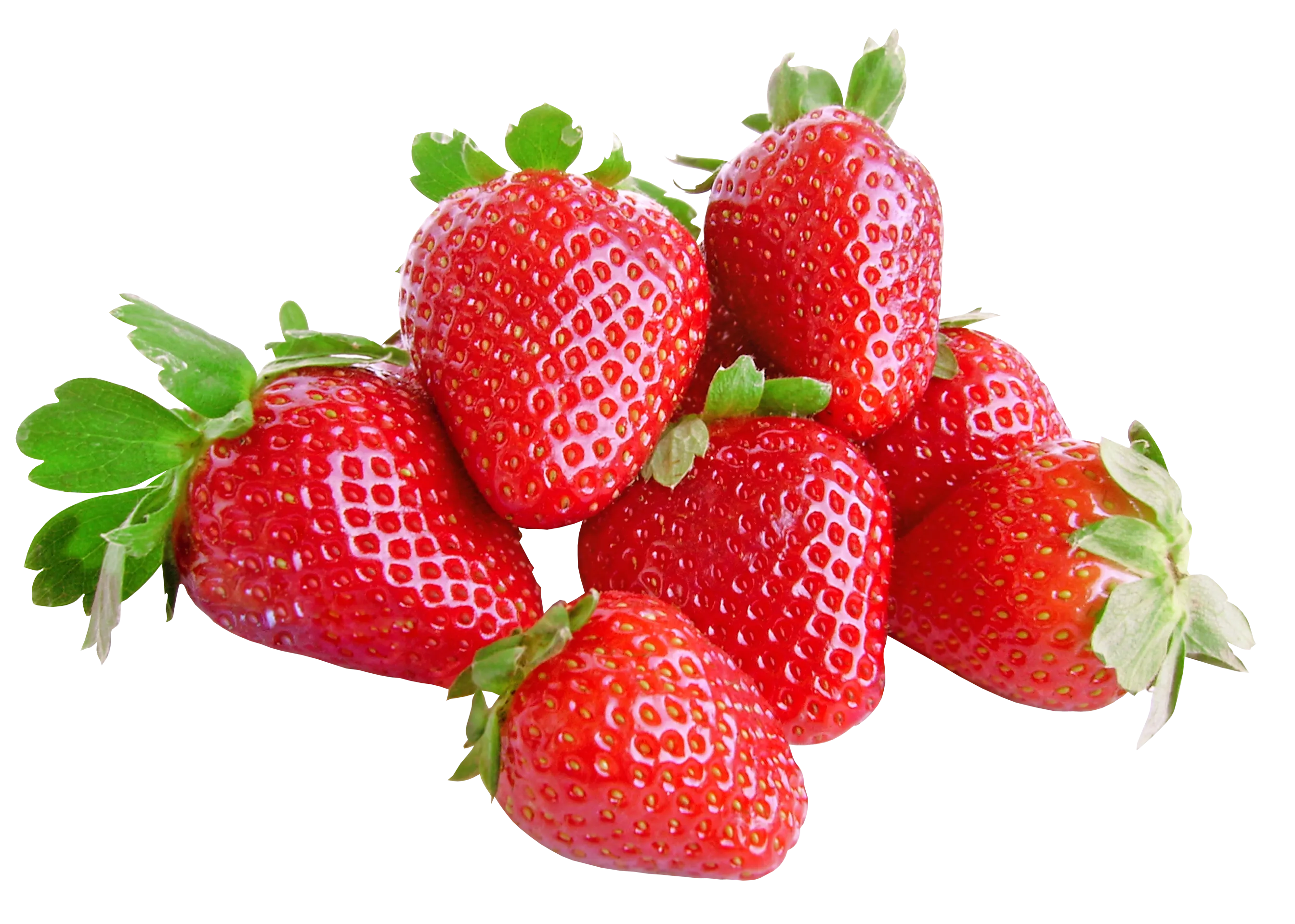 Roman F1 Strawberry - Bulk Fruit / Berry Seeds - 100 Seeds