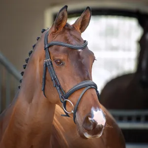 Shires Lusso Padded Raised Flash Bridle - Black